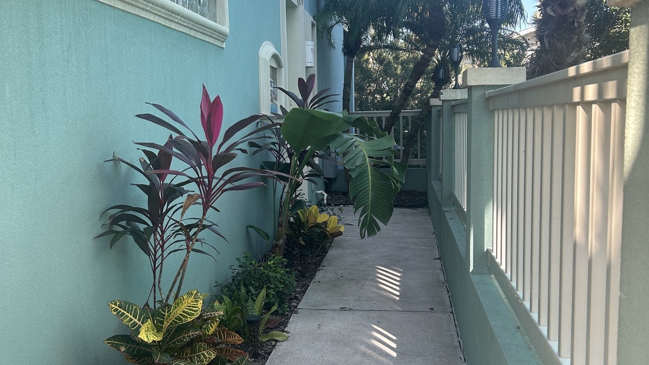 Photo of Outdoor in South Padre Island