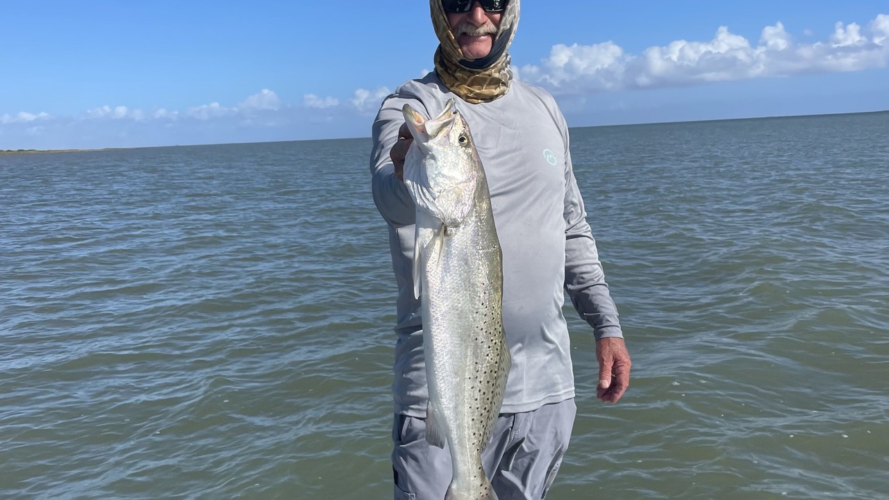 Photo of Others in Port Mansfield