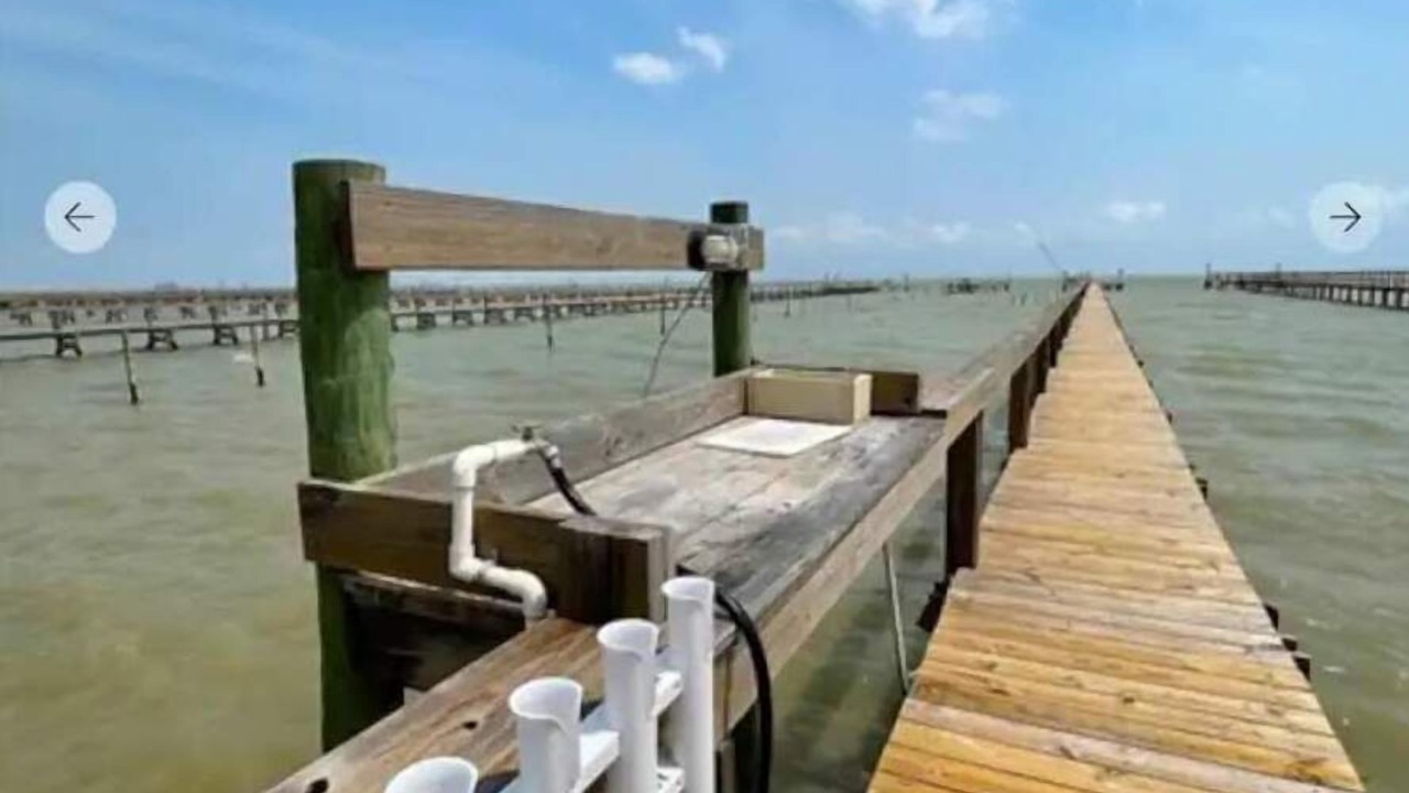 Photo of Others in Port Mansfield