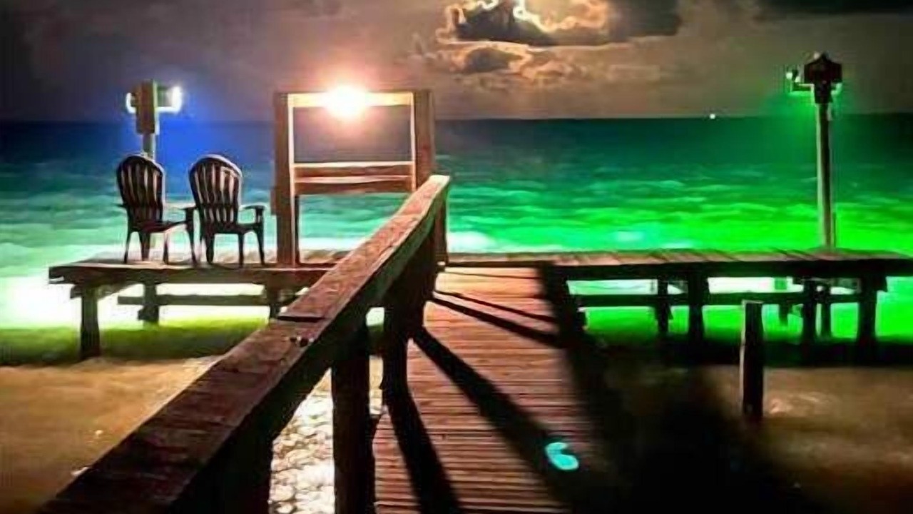 Photo of Outdoor in Port Mansfield