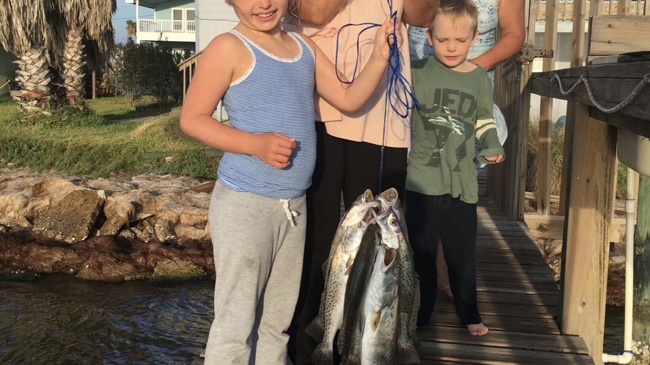 Photo of Others in Port Mansfield
