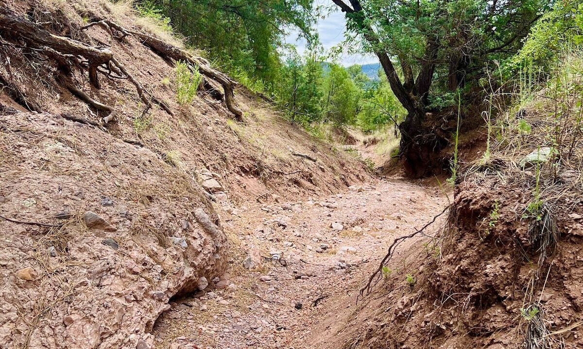 Photo of Outdoor in San Lorenzo