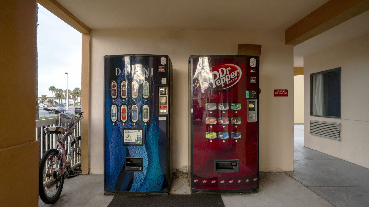 Photo of Others in Galveston