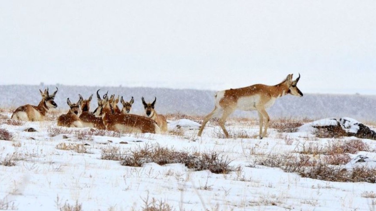 Photo of Outdoor in Cimarron
