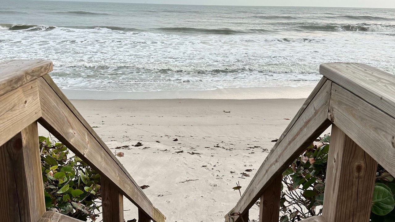 Photo of Others in Melbourne Beach
