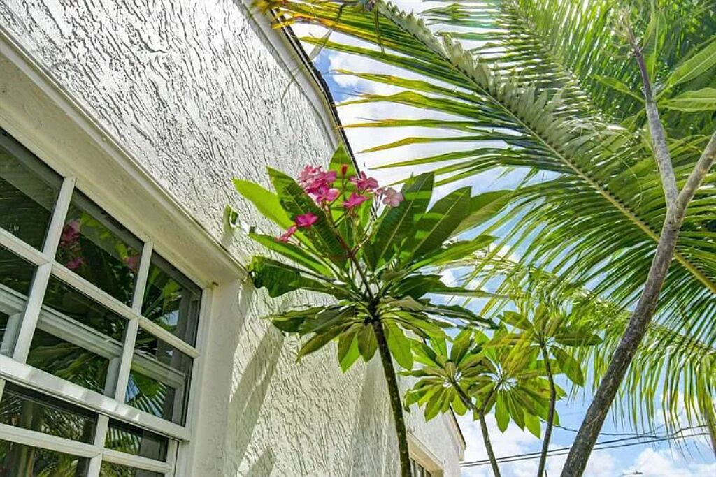 Photo of Outdoor in Southwest
