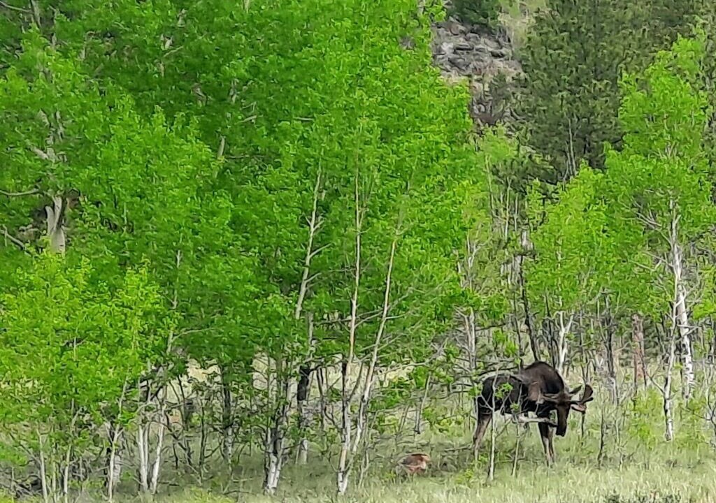 Photo of Others in Lake George