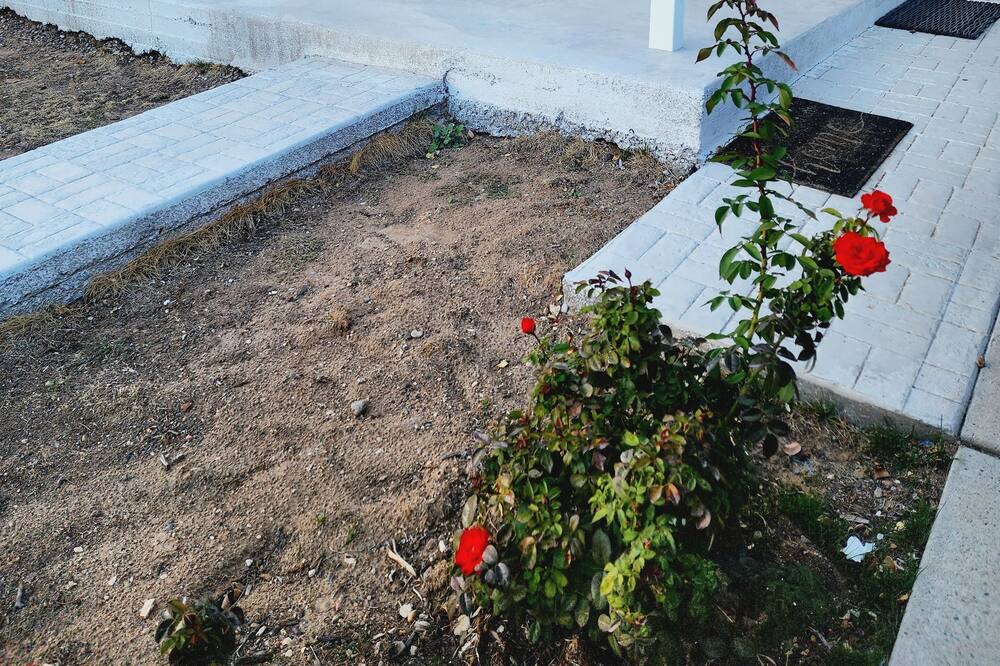 Photo of Outdoor in Paradise Hills Civic