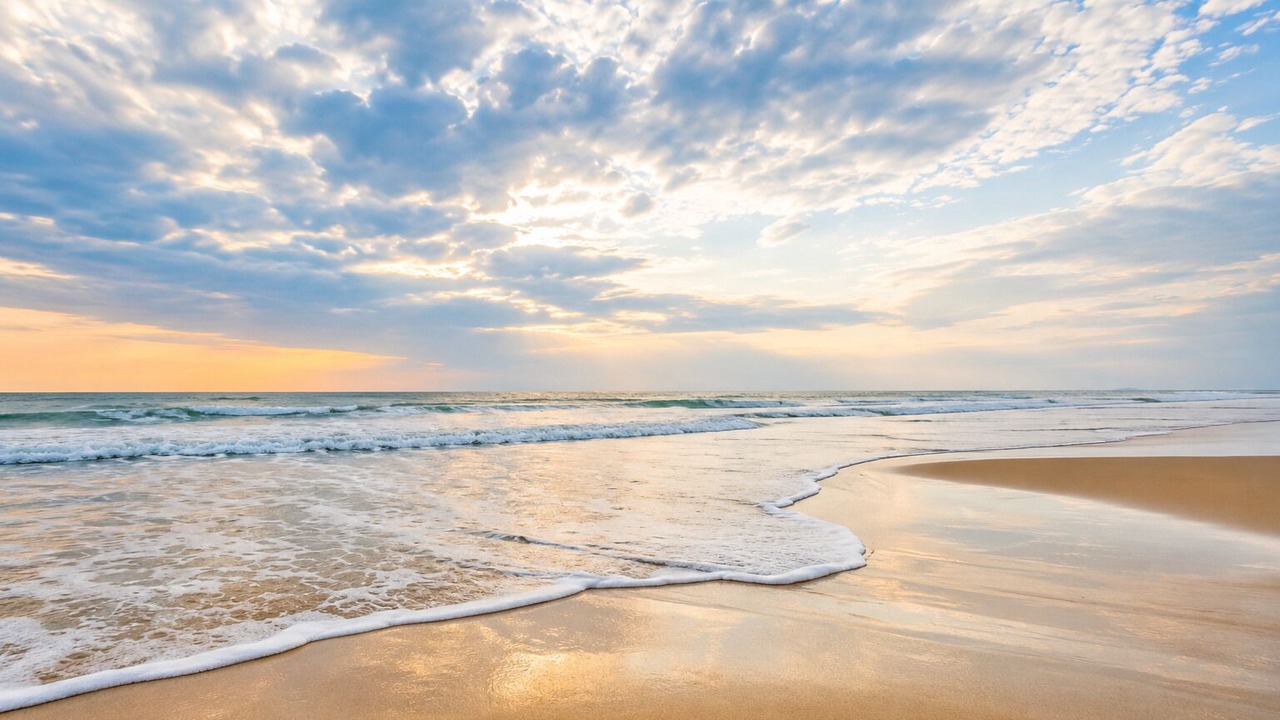 Photo of Others in South Padre Island