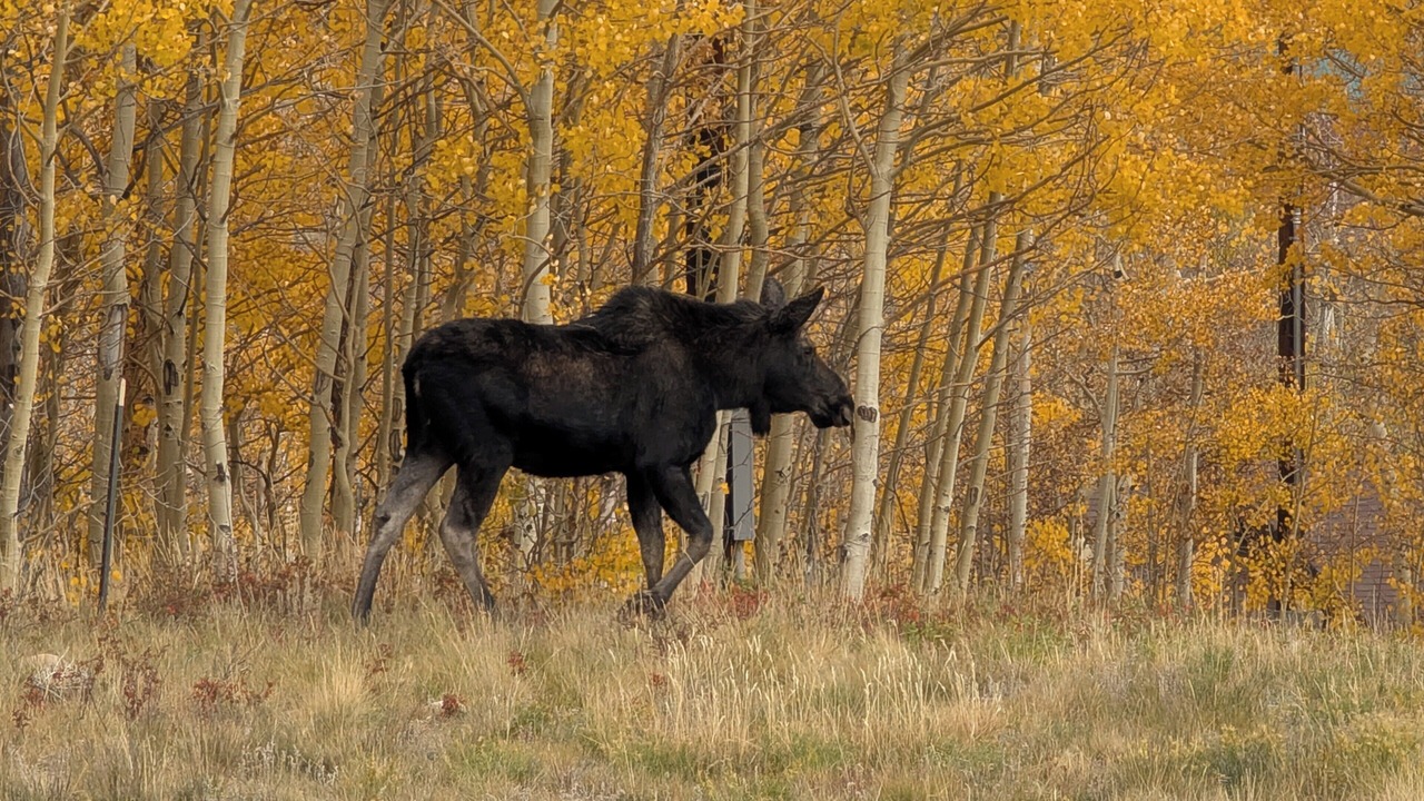 Photo of Others in Warm Springs