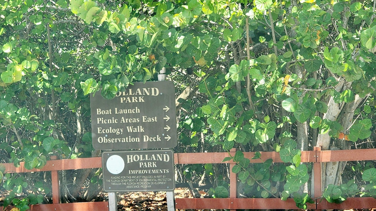 Photo of Outdoor in Royal Poinciana
