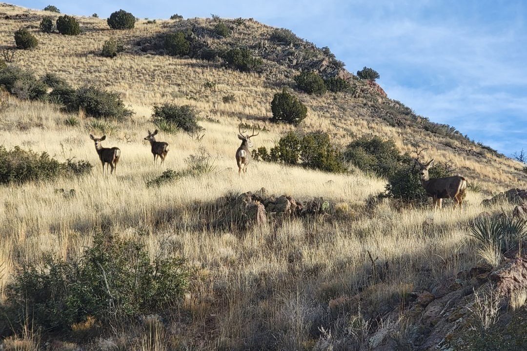 Photo of Outdoor in Magdalena