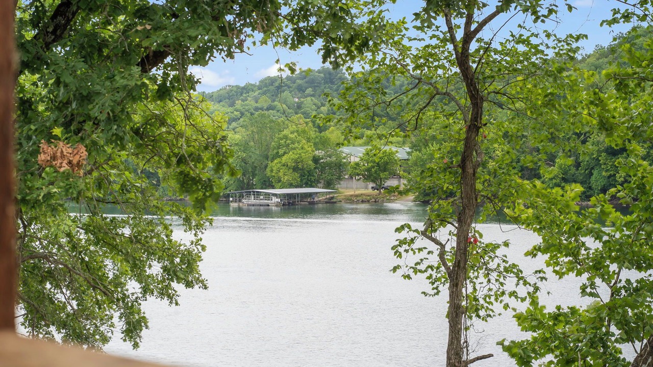 Photo of Others in Branson