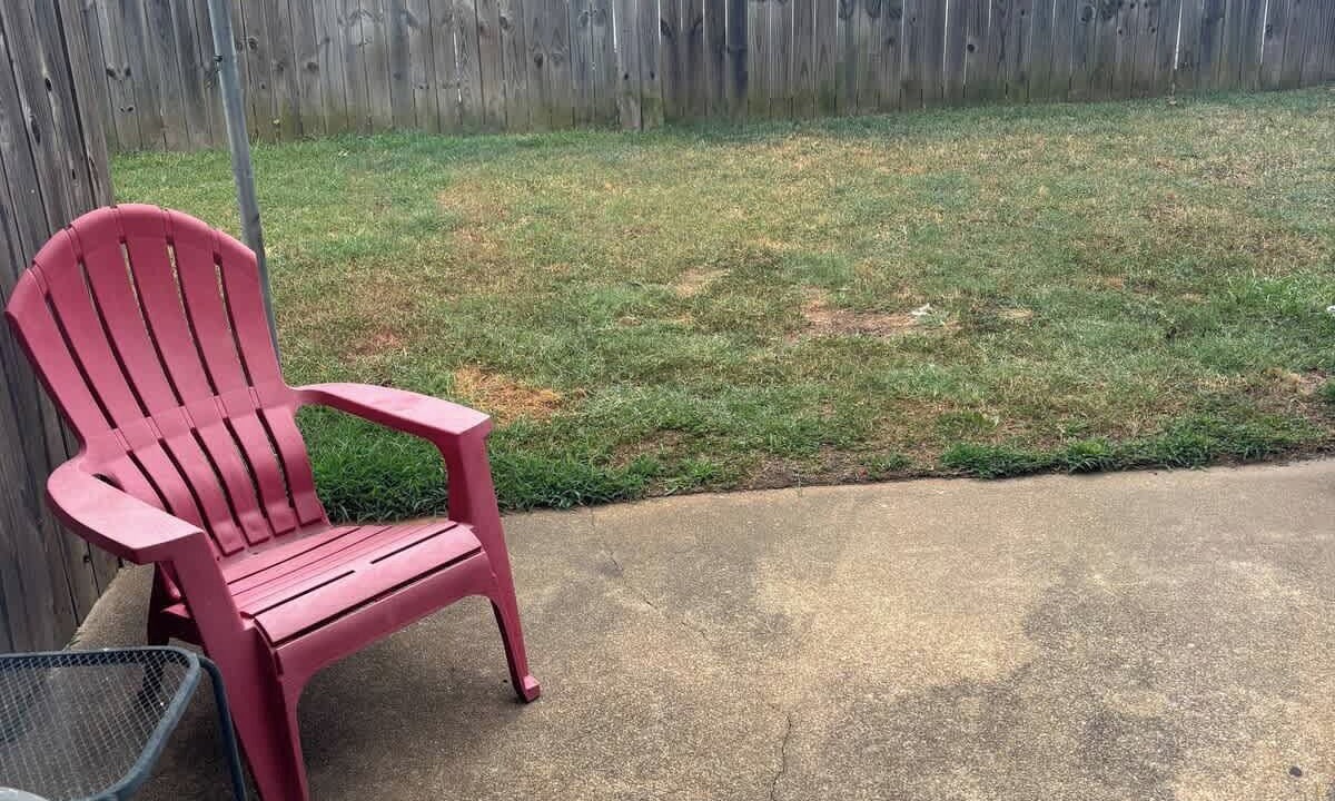 Photo of Outdoor in Bryant