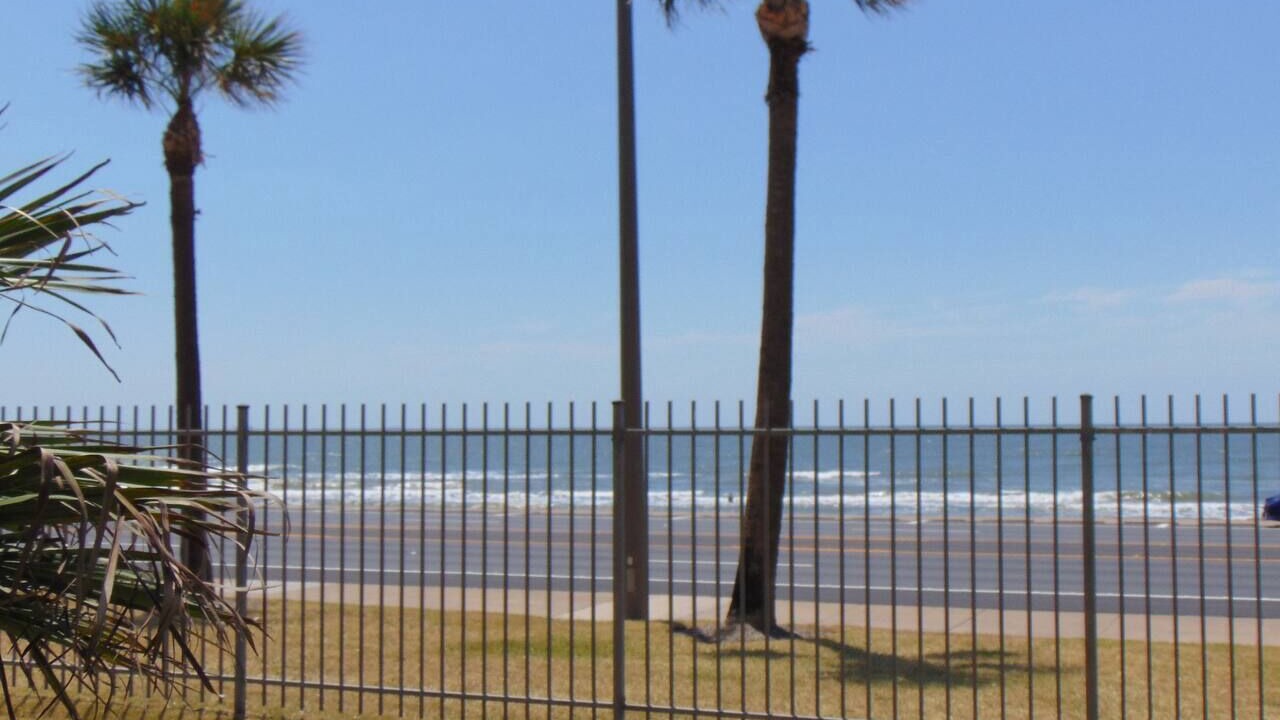 Photo of Others in Galveston