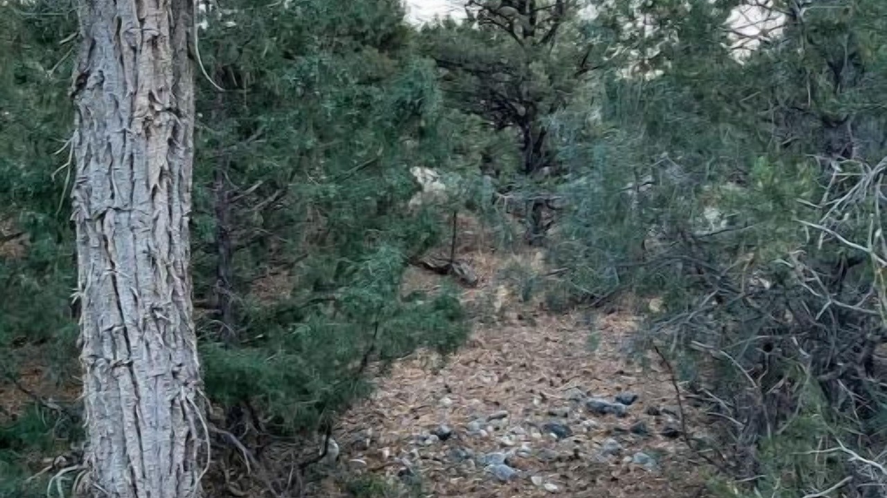 Photo of Outdoor in Zapata