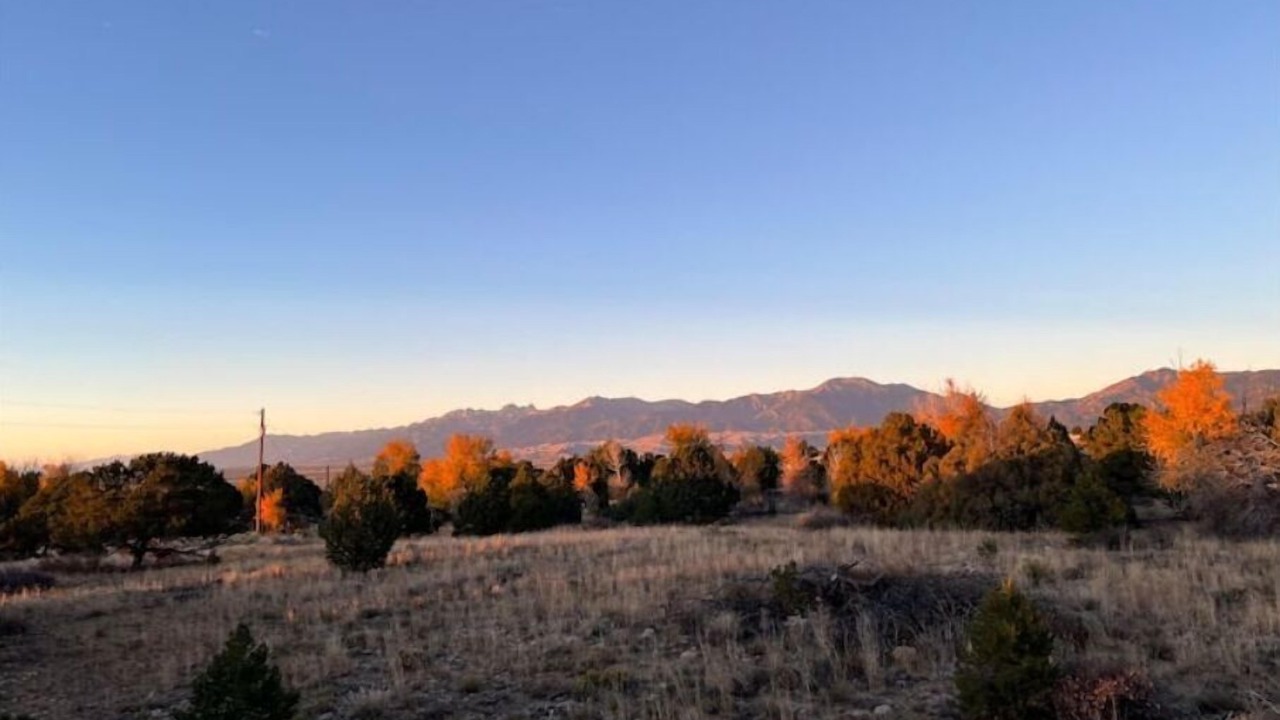 Photo of Outdoor in Zapata