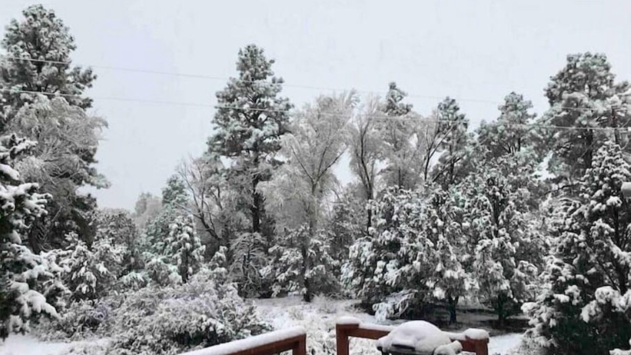 Photo of Outdoor in Zapata