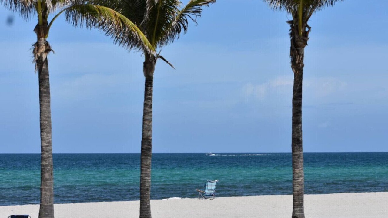 Photo of Others in Hallandale Beach