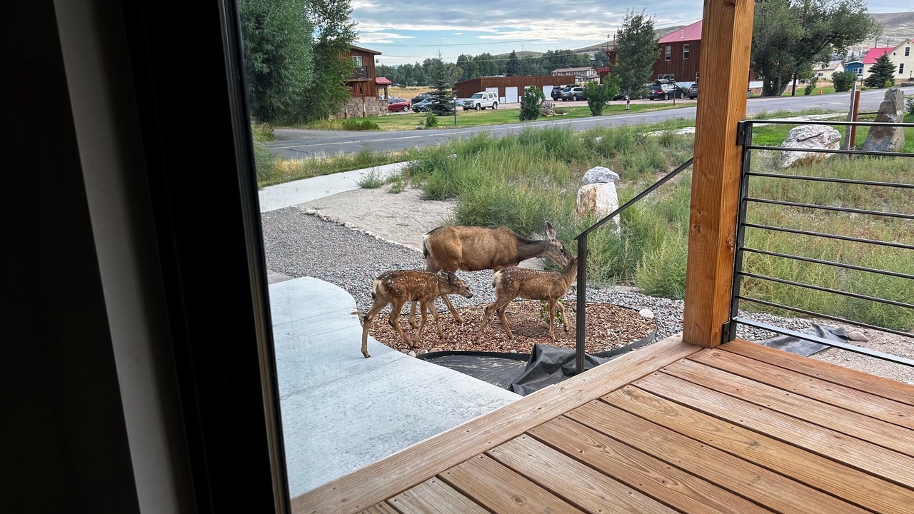 Photo of Others in Gunnison