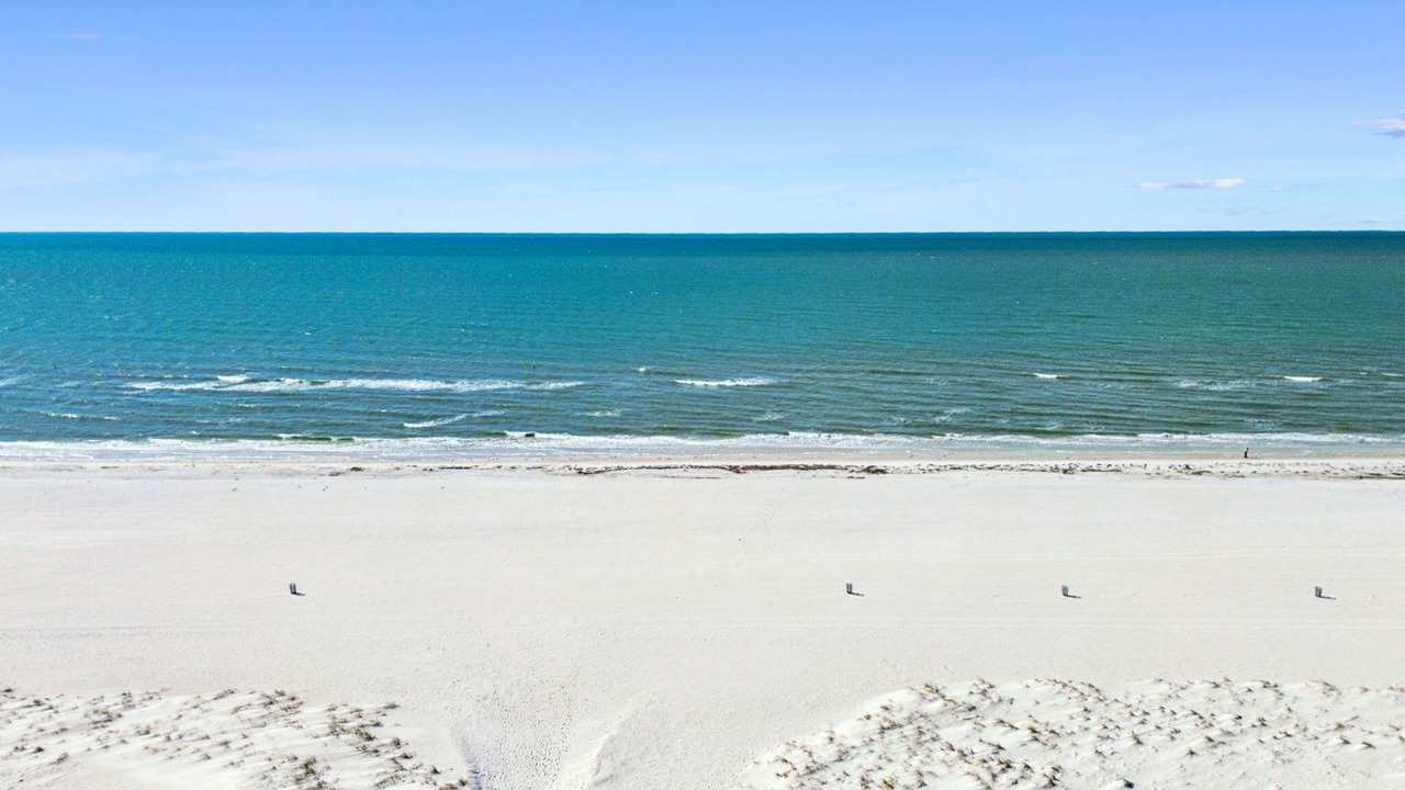 Photo of Others in Clearwater Beach