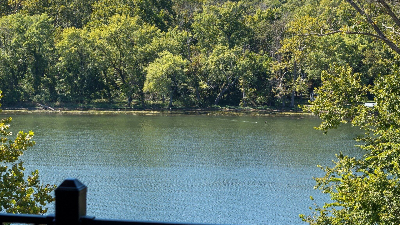 Photo of Others in Branson