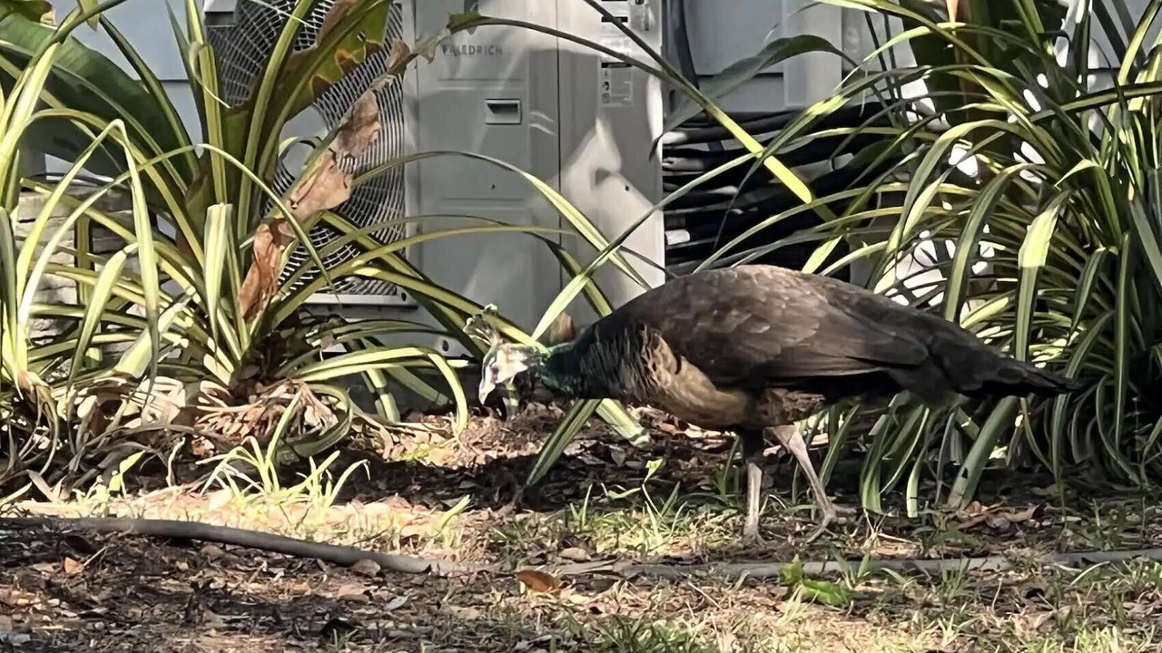 Photo of Outdoor in East Little Havana