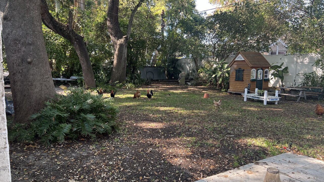 Photo of Others in East Little Havana