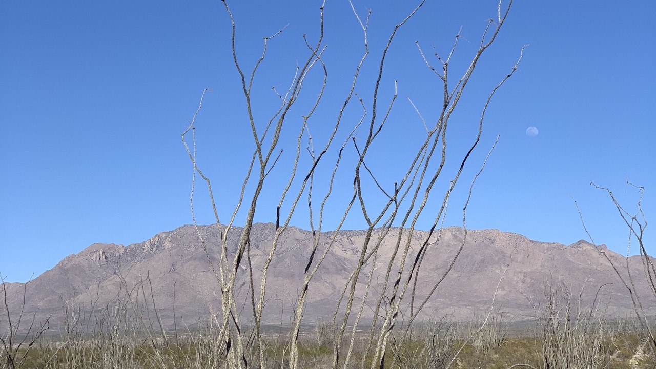 Photo of Others in Presidio County