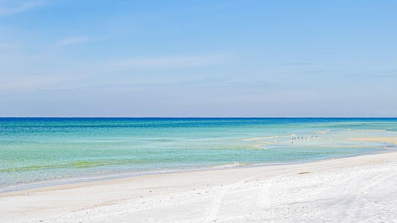 Photo of Others in West Panama City Beach