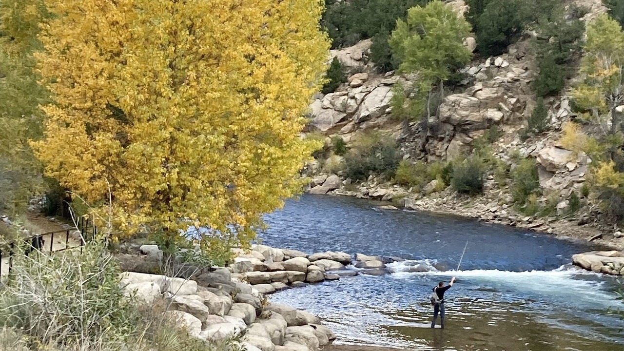 Photo of Others in Buena Vista