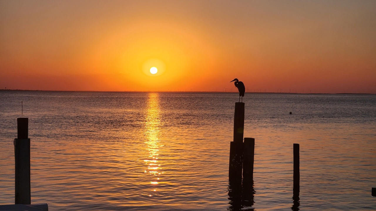 Photo of Others in South Padre Island