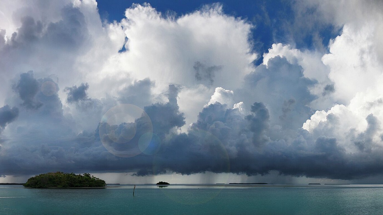 Photo of Others in Pompano Beach