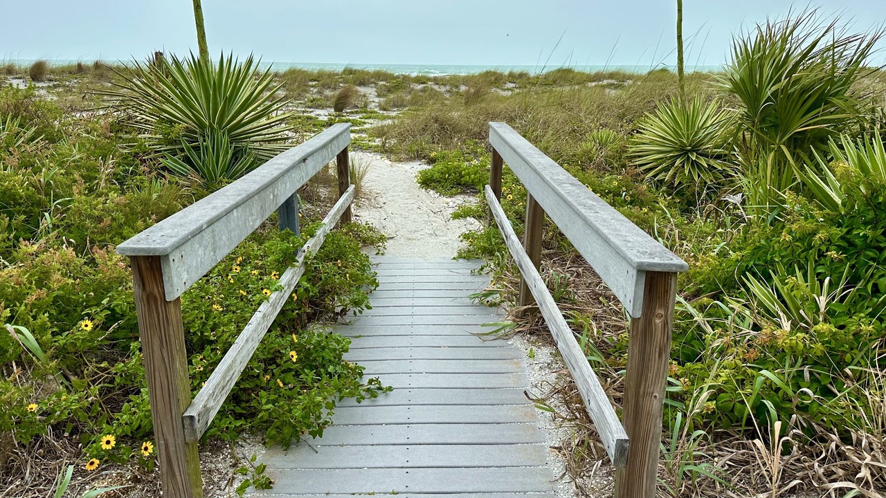 Photo of Outdoor in Golden Beach