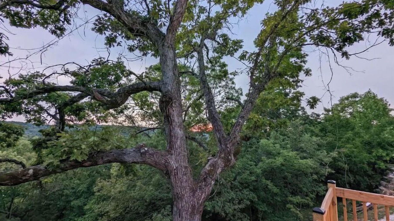 Photo of Outdoor in Lampe