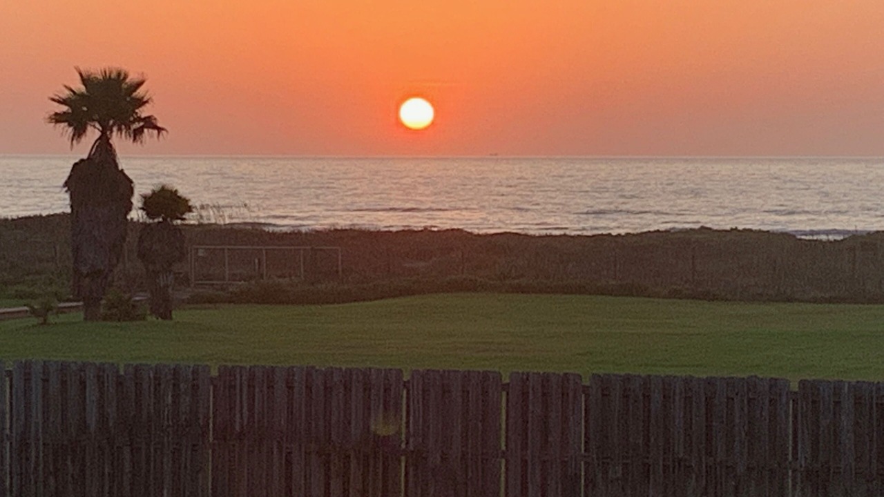 Photo of Others in South Padre Island