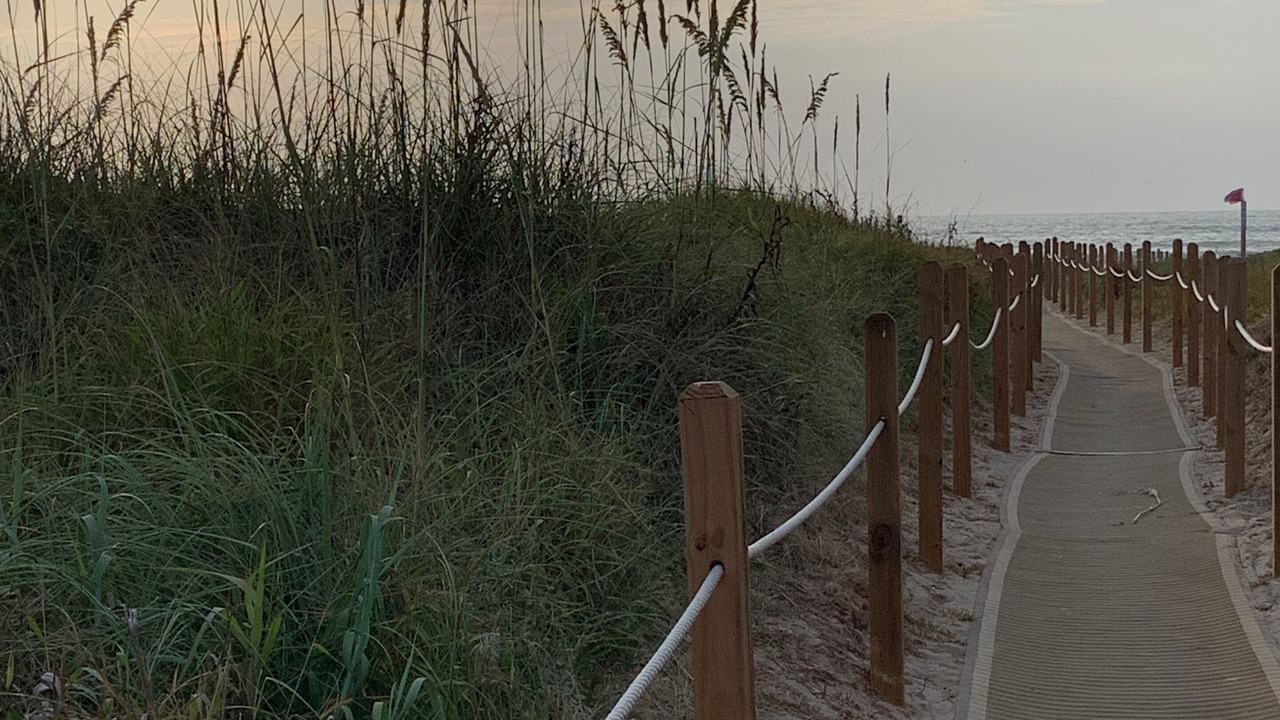 Photo of Others in South Padre Island