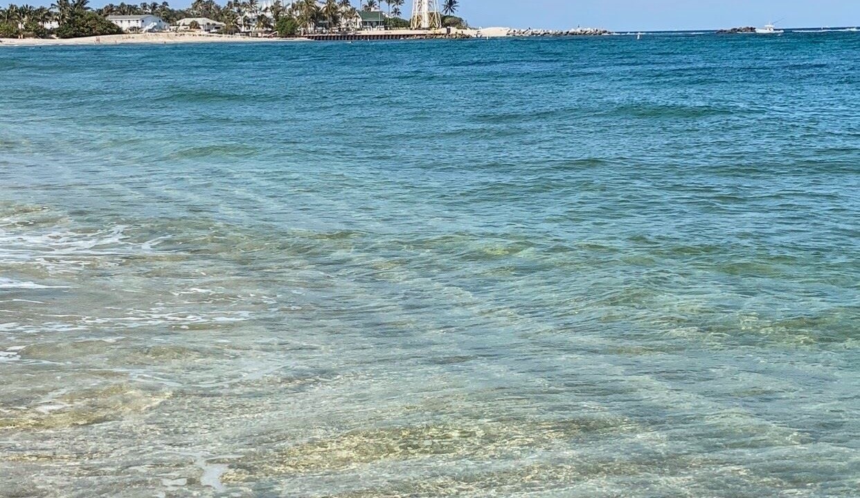 Photo of Others in Pompano Beach