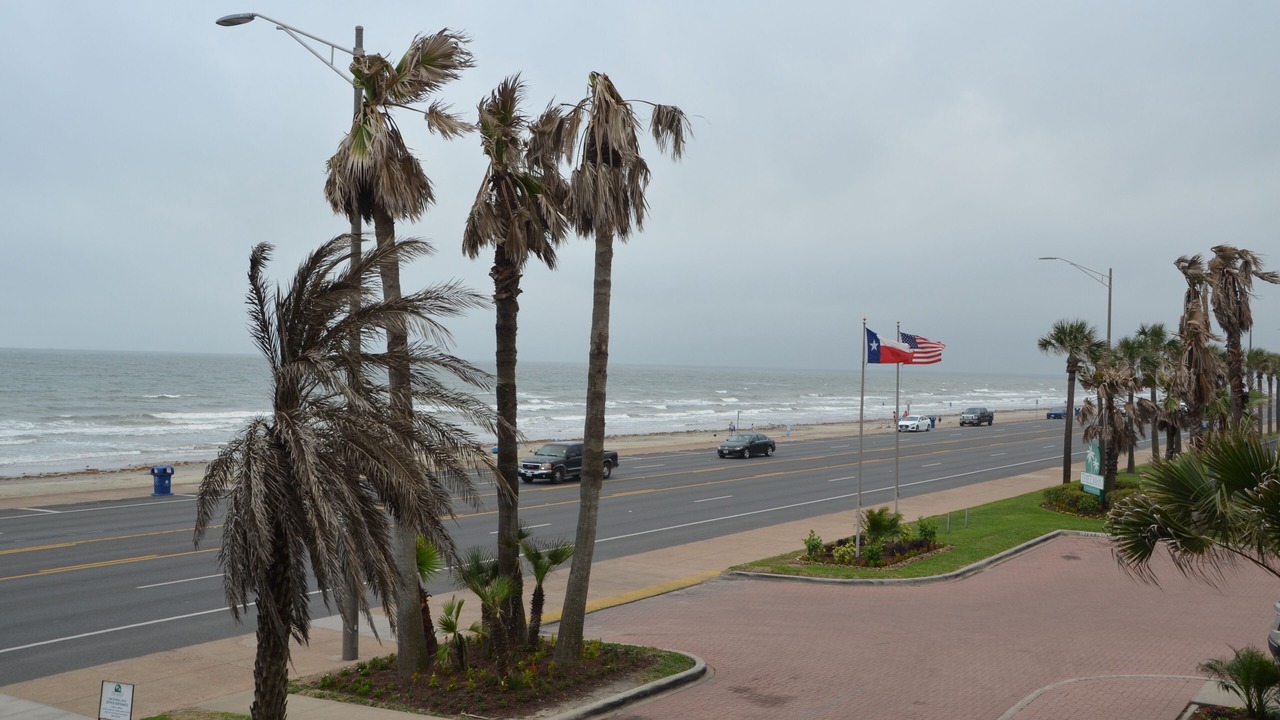 Photo of Others in Galveston