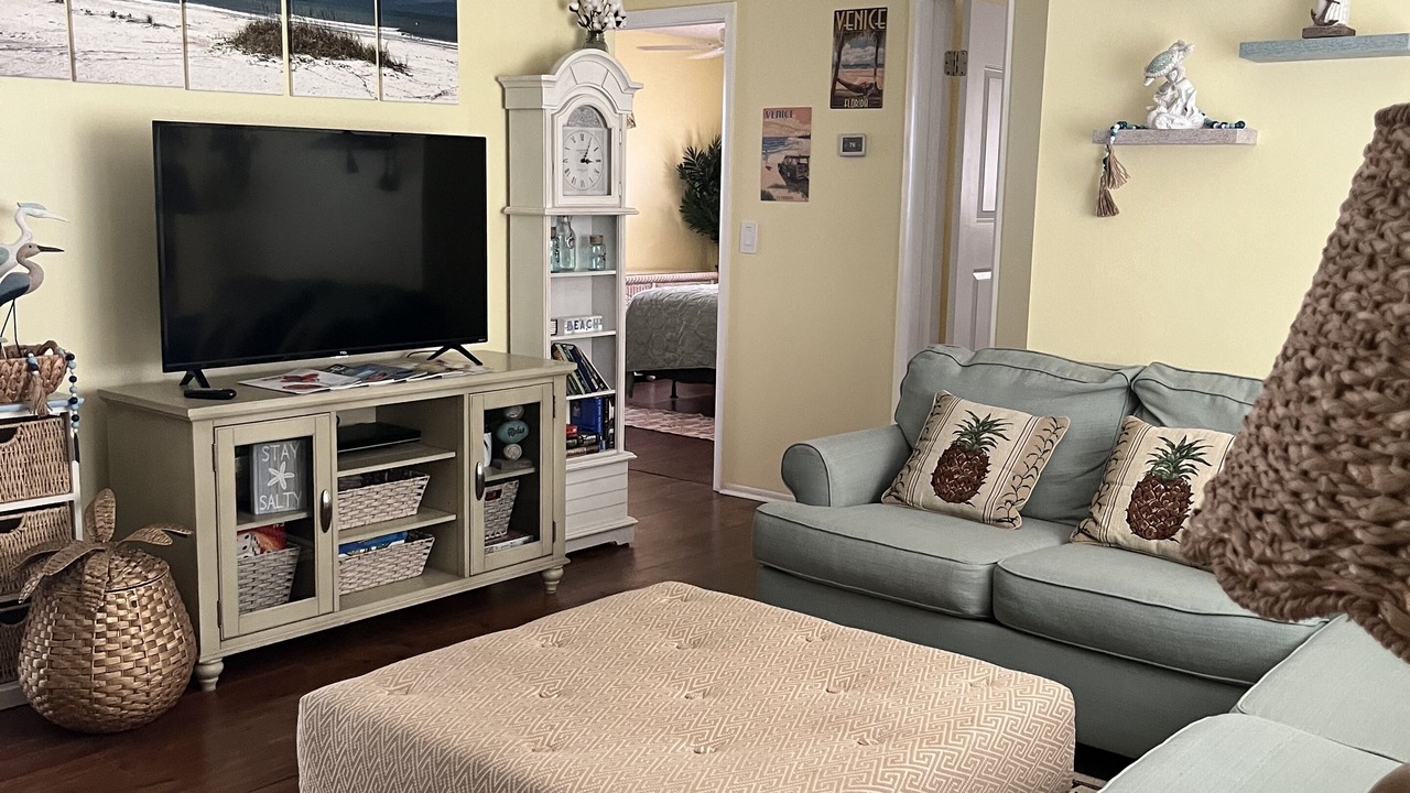 Photo of Livingroom in South Venice