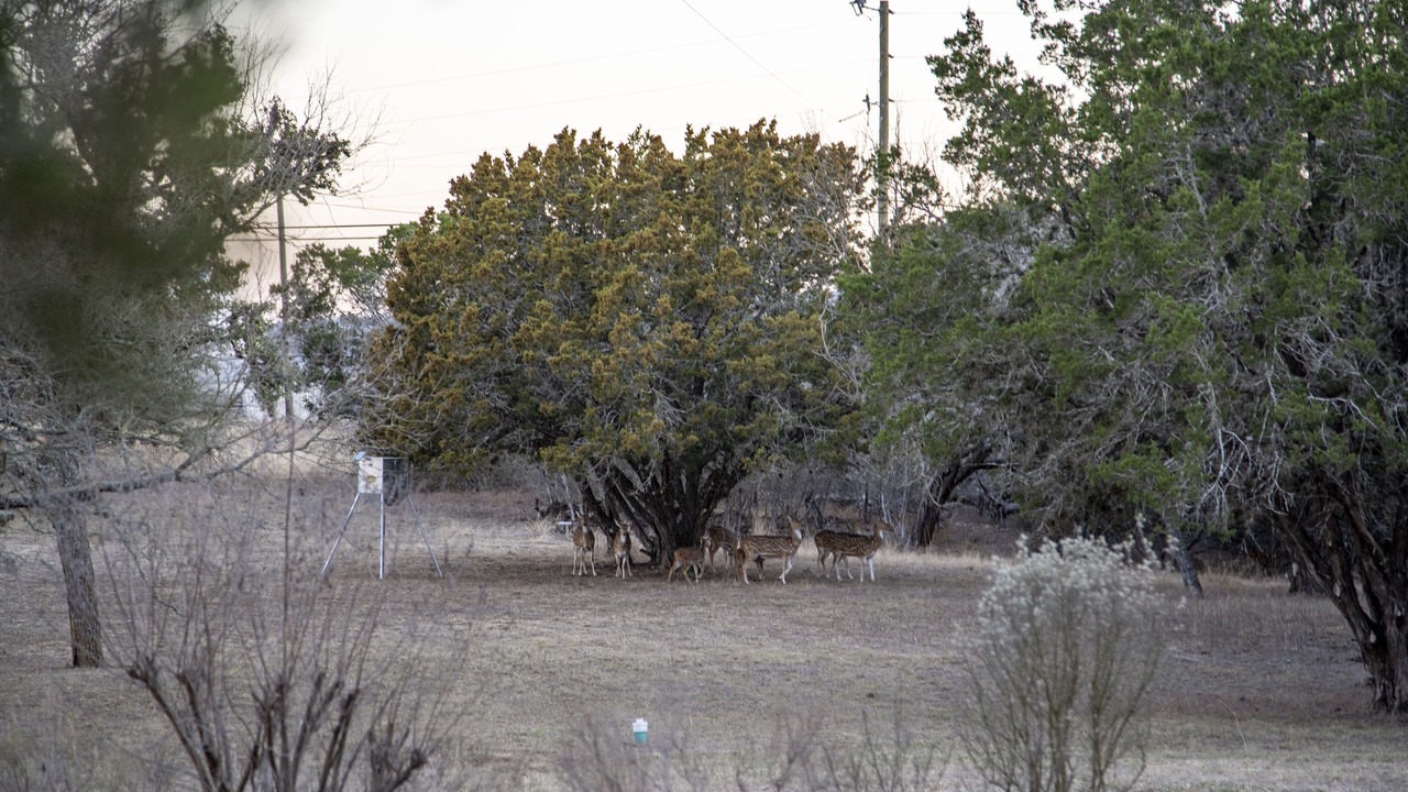 Photo of Others in Fredericksburg
