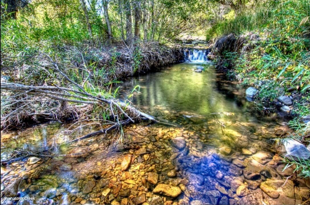 Photo of Outdoor in La Veta