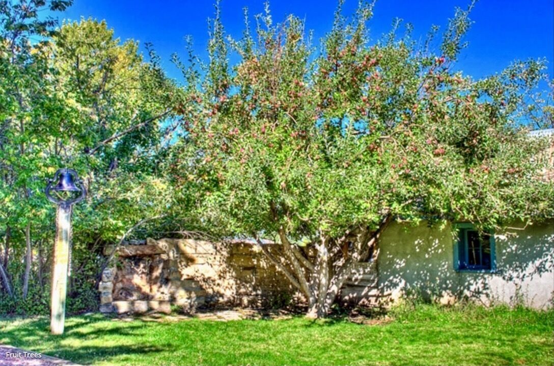 Photo of Outdoor in La Veta