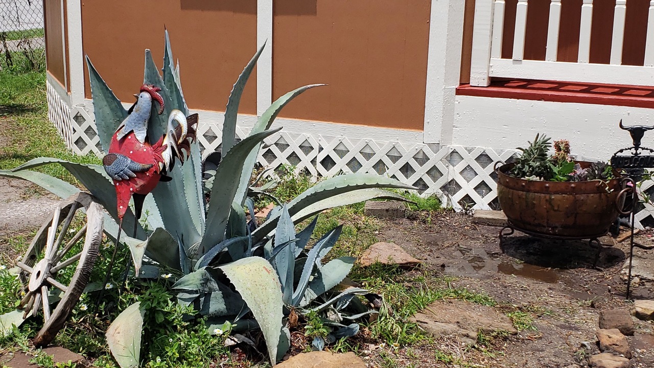 Photo of Outdoor in Galveston