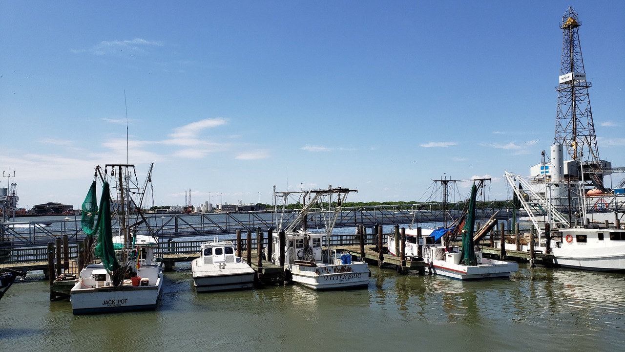 Photo of Others in Galveston
