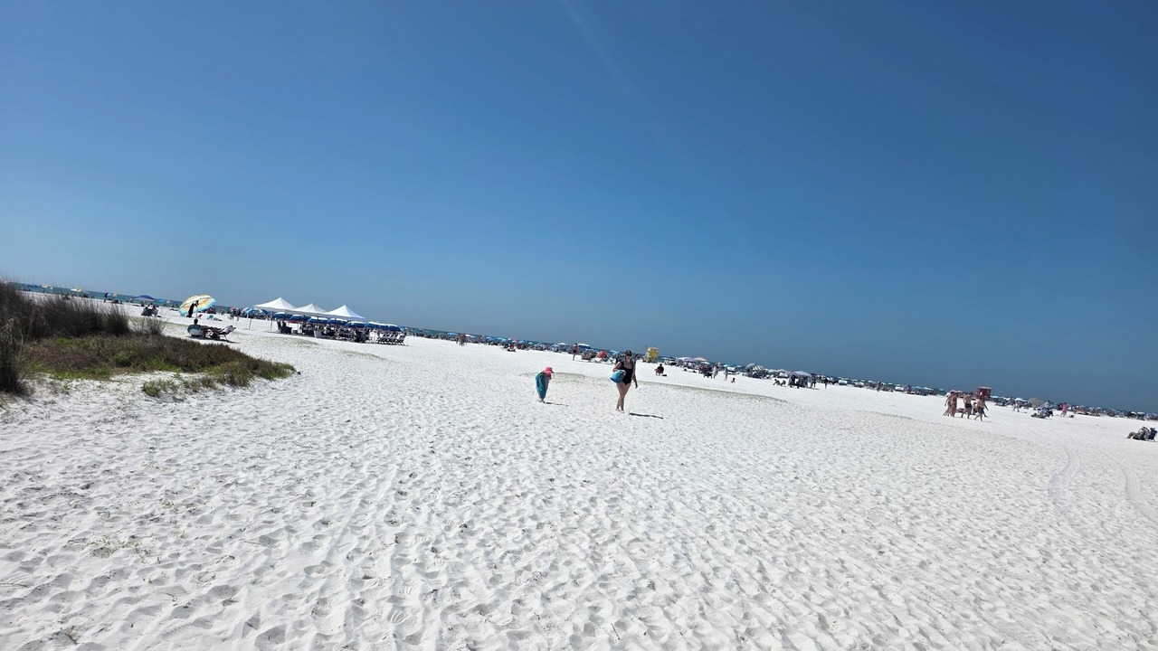 Photo of Others in Sarasota Springs