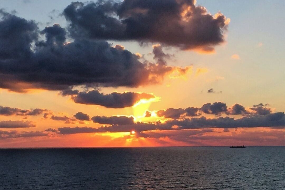 Photo of Others in South Padre Island