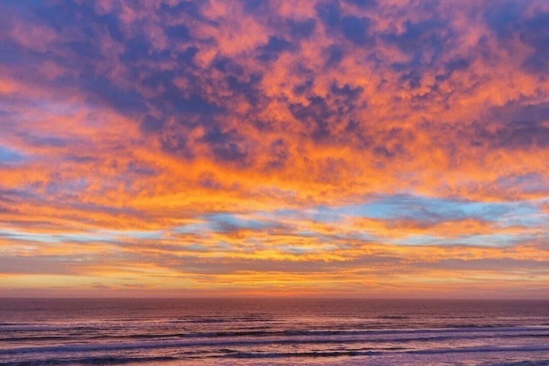 Photo of Others in South Padre Island