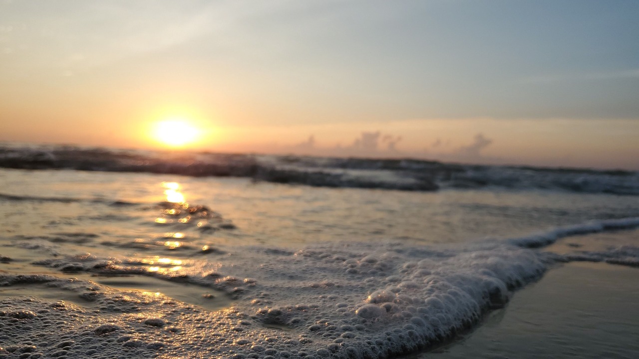 Photo of Others in South Padre Island