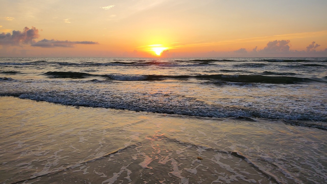 Photo of Others in South Padre Island